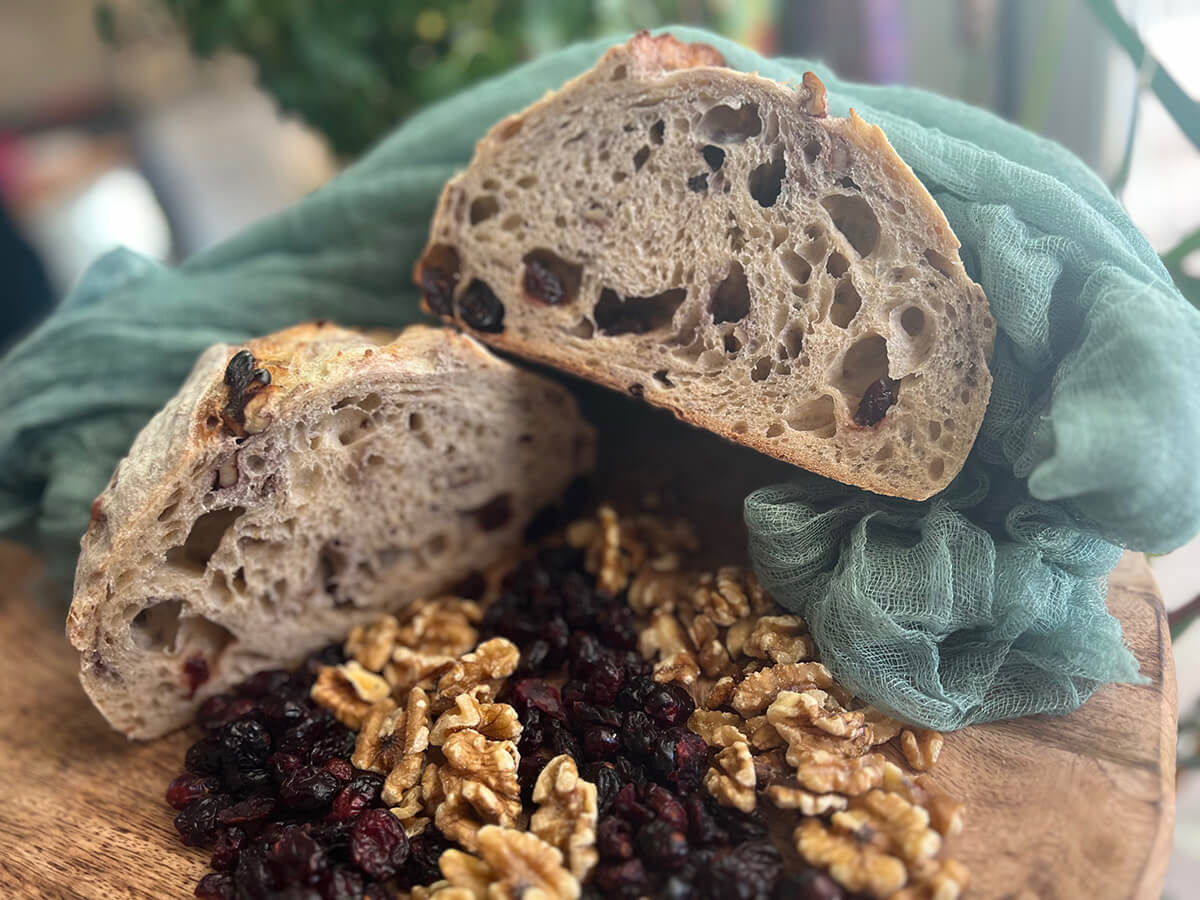 Cranberry Walnut Sourdough Loaf